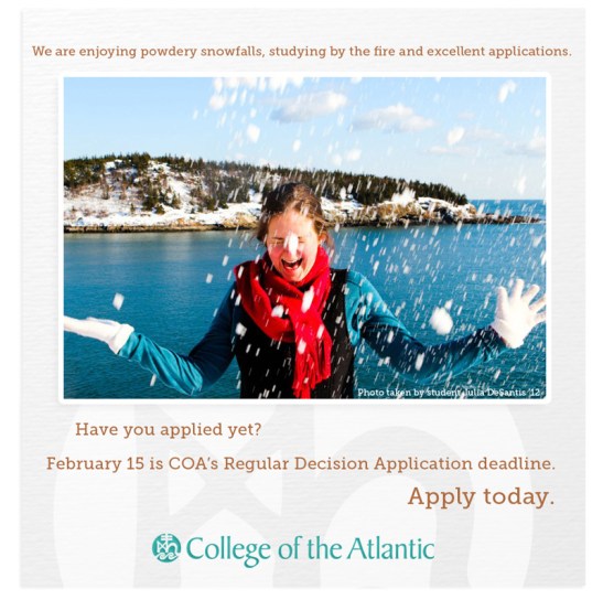 Porcupine Design College of the Atlantic Admission Email Campaign Graphic