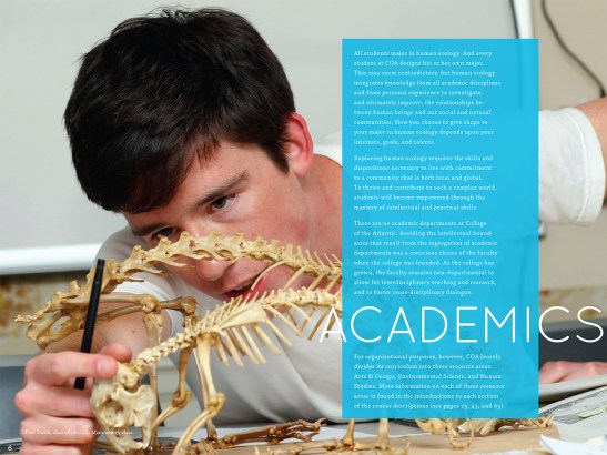 Porcupine Design College of the Atlantic Admission Guidebook Graphics