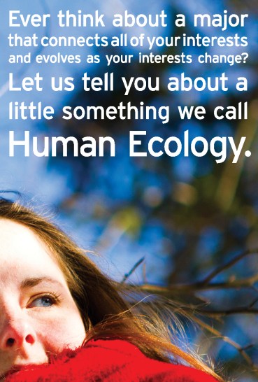 Porcupine Design College of the Atlantic Admission Brochure Graphics